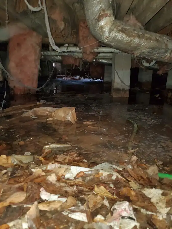 Crawl space flood assessment for Commercial Water Damage Restoration in New Orleans