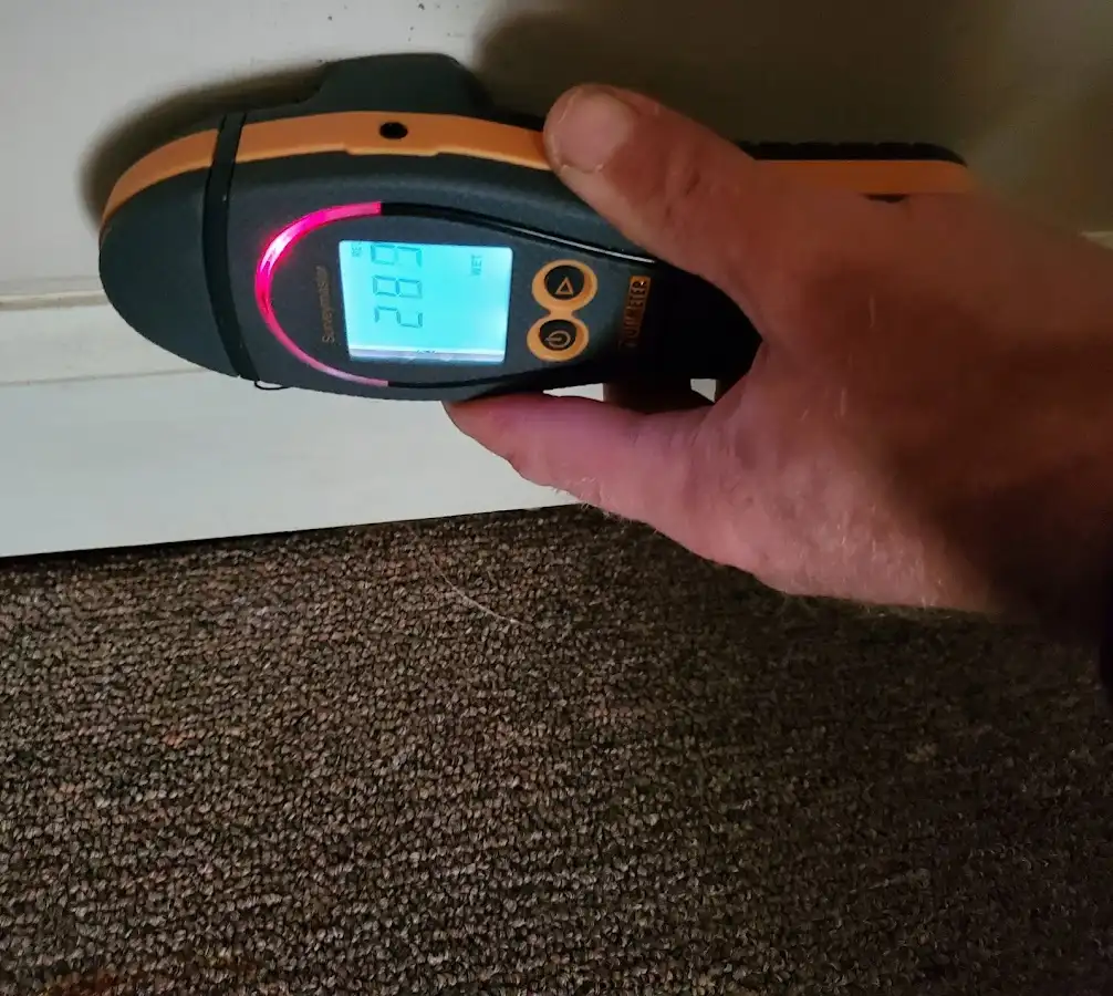 Moisture detection at baseboard during Sewage Cleanup & Sanitation in New Orleans
